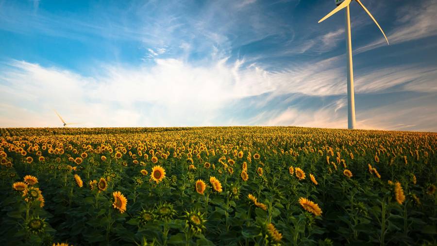 Sustainable Technology is Shaping the Future of Business and Climate Action